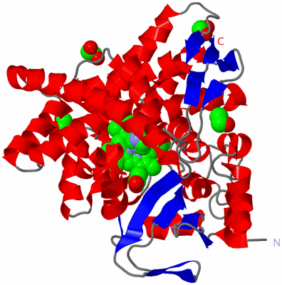 Image Asym./Biol. Unit