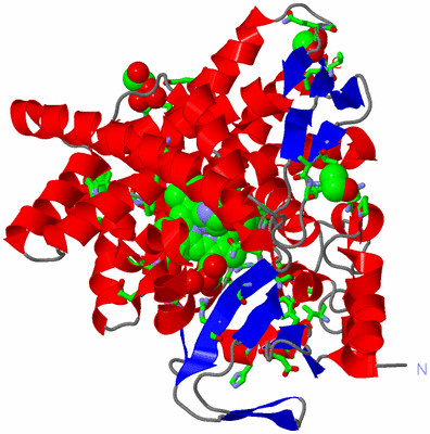 Image Asym./Biol. Unit - sites