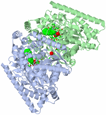 Image Asym./Biol. Unit - sites