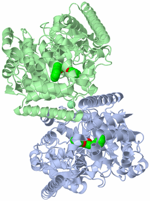 Image Asym./Biol. Unit