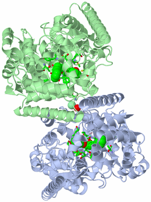 Image Asym./Biol. Unit - sites