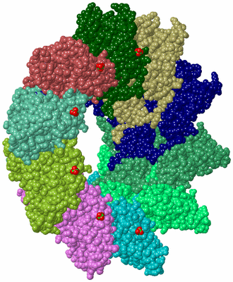 Image Biological Unit 1