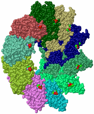 Image Biol. Unit 1 - sites