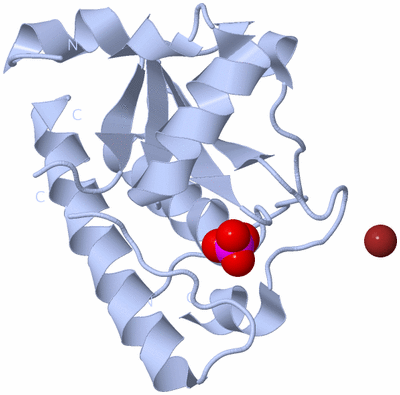 Image Biological Unit 1