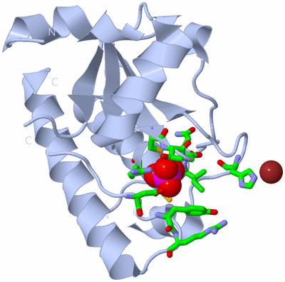 Image Biol. Unit 1 - sites