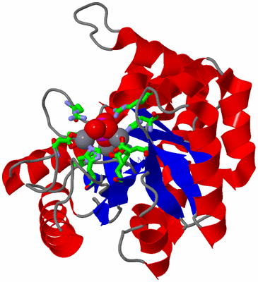 Image Asym./Biol. Unit - sites