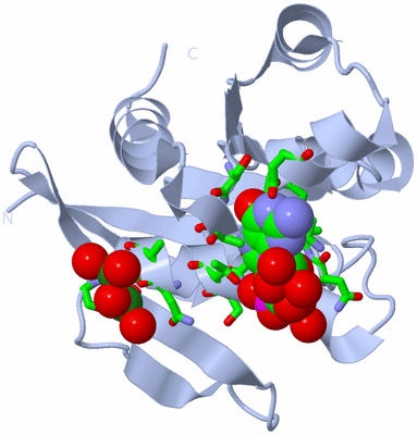 Image Biol. Unit 1 - sites