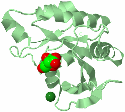 Image Biological Unit 2