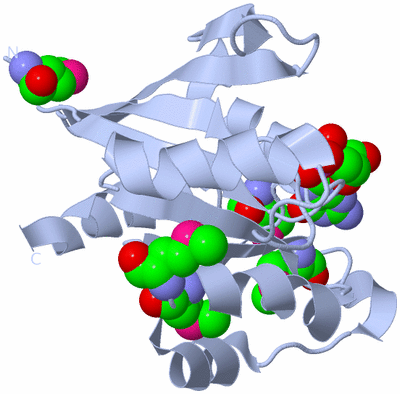 Image Biological Unit 1