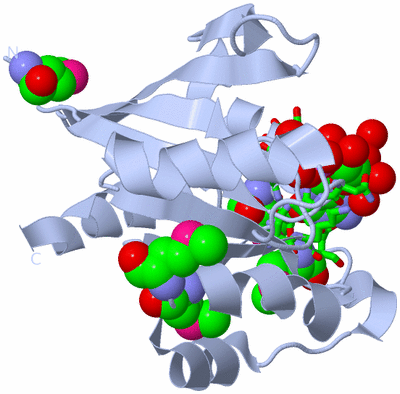 Image Biol. Unit 1 - sites