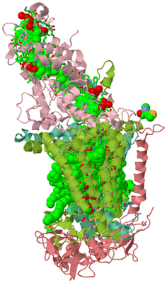 Image Asym./Biol. Unit - sites