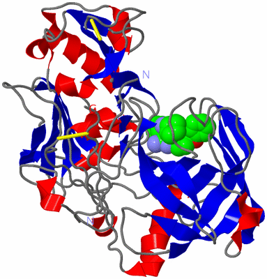 Image Asym./Biol. Unit