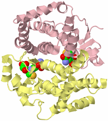 Image Biological Unit 2