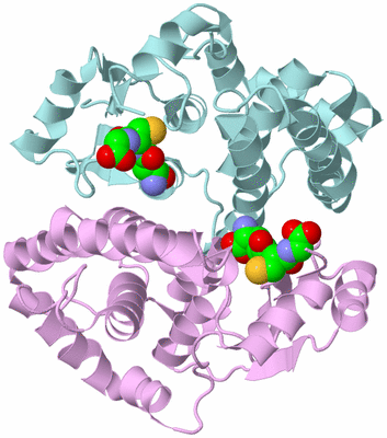 Image Biological Unit 3