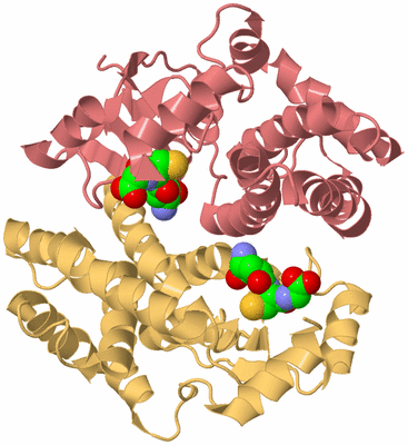 Image Biological Unit 4