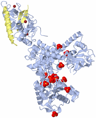 Image Biological Unit 1