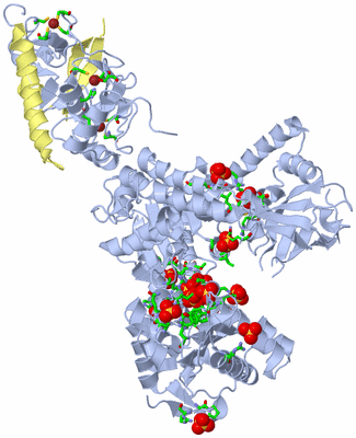 Image Biol. Unit 1 - sites