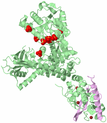 Image Biological Unit 2