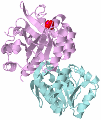 Image Biological Unit 2