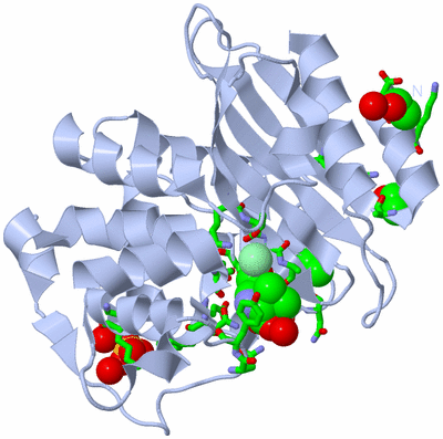 Image Biol. Unit 1 - sites