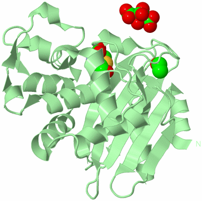 Image Biological Unit 2