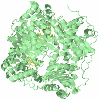 Image Biological Unit 1