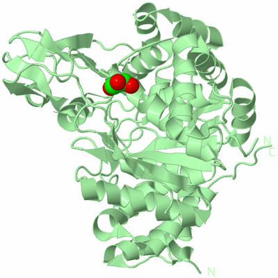 Image Biological Unit 2