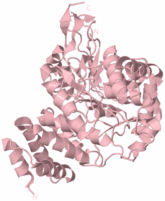 Image Biological Unit 3