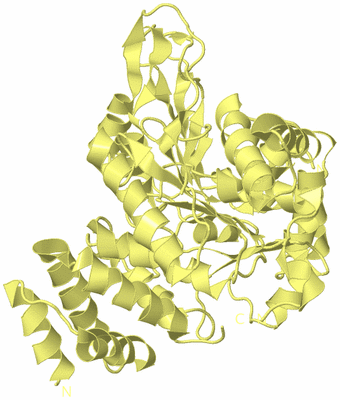 Image Biological Unit 4