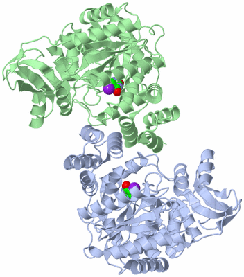 Image Asym./Biol. Unit