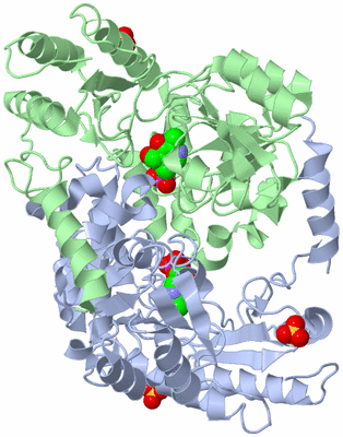 Image Asym./Biol. Unit