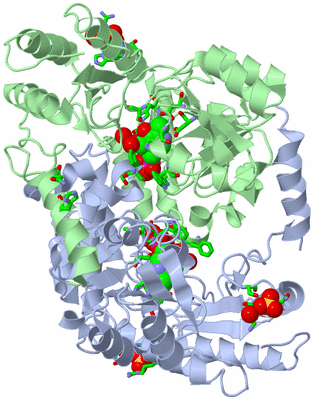 Image Asym./Biol. Unit - sites