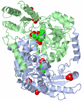 Image Asym./Biol. Unit