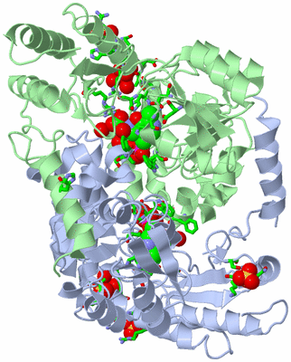 Image Asym./Biol. Unit - sites