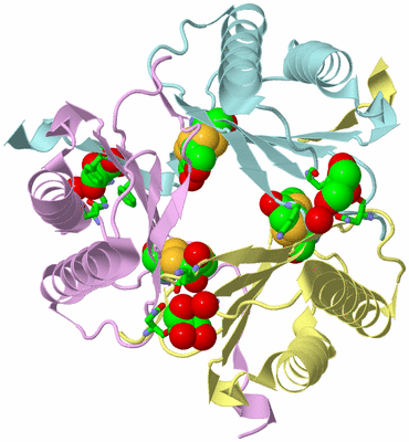 Image Biol. Unit 1 - sites