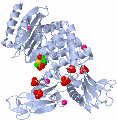 Image Biological Unit 1