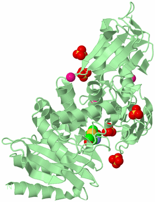 Image Biological Unit 2