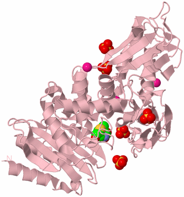 Image Biological Unit 3