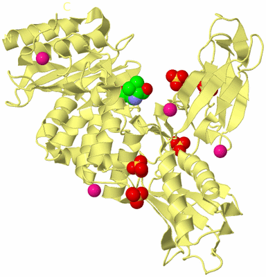 Image Biological Unit 4