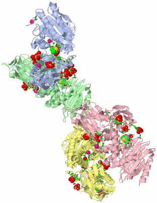 Image Asym. Unit - sites