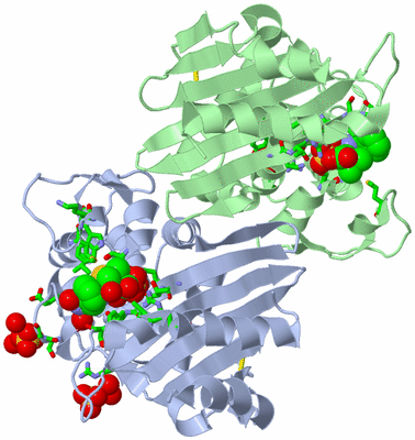 Image Asym./Biol. Unit - sites