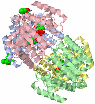 Image Asym./Biol. Unit - sites