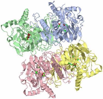 Image Biol. Unit 1 - sites