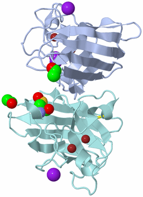 Image Asym./Biol. Unit