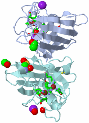 Image Asym./Biol. Unit - sites