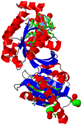 Image Asym./Biol. Unit - sites