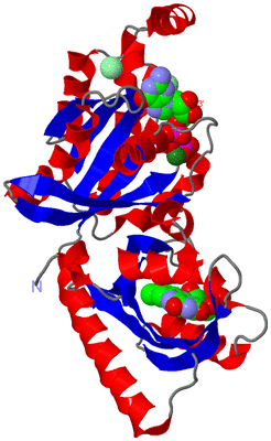 Image Asym./Biol. Unit