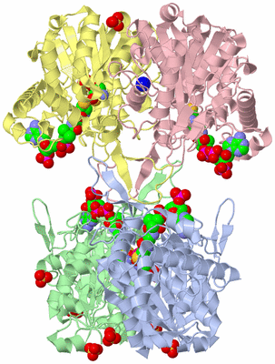 Image Biological Unit 1