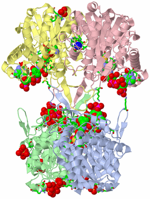 Image Biol. Unit 1 - sites