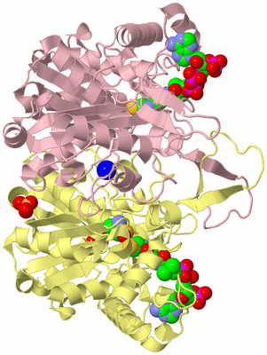 Image Biological Unit 2